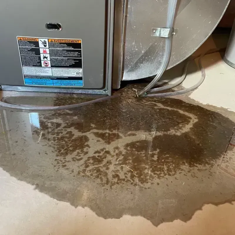 Appliance Leak Cleanup in Anna, IL